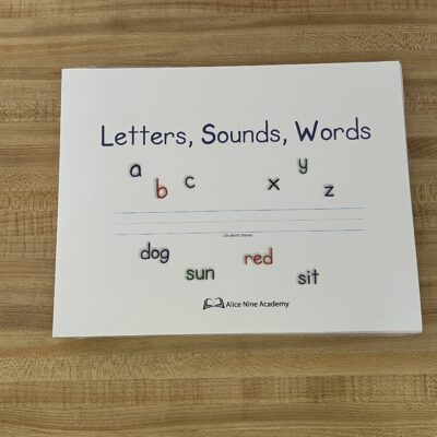 Letters Sounds Words Student Work Text